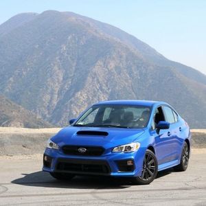 Meet your Posher, Harry